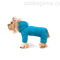 ZOOTREND Комбинезон зимний АЛЯСКА бирюза - фото 8440