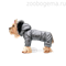 ZOOTREND Комбинезон зимний АЛЯСКА серебро - фото 8442