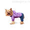 ZOOTREND Дождевик Тедди - фото 8444